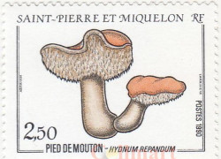 Марка. Сен-Пьер и Микелон. Овечья лапка (Hydnum repandum).