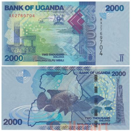  Бона. Уганда 2000 шиллингов 2010 год. Рыбы. (Пресс) 