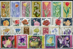Набор марок. Цветы. 26 марок + планшетка. № 1362.