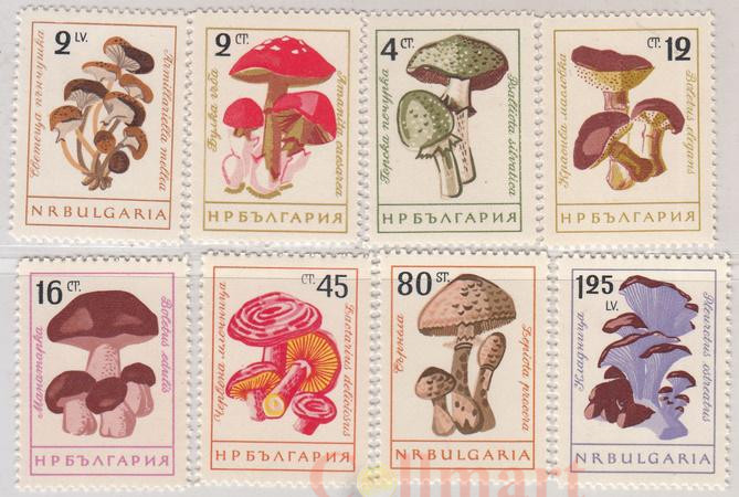  Набор марок. Болгария. Мухоморы. 8 марок. 