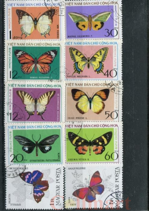  Набор марок. Бабочки. 10 марок + планшетка. № 1537. 