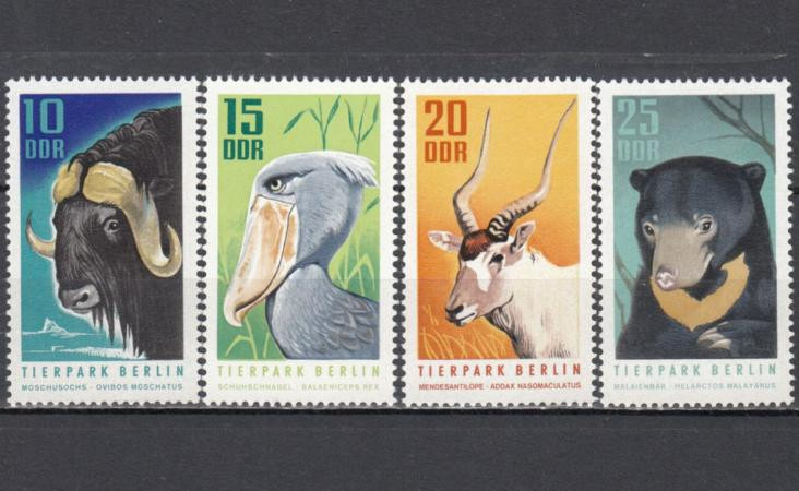  Набор марок. ГДР 1970 год. Животные Берлинского зоопарка. (4 марки) 