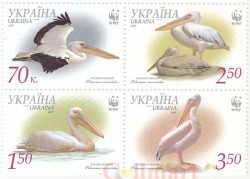 Сцепка марок. Украина. Большой белый пеликан. 