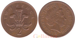 Великобритания. 2 пенса 2000 год.