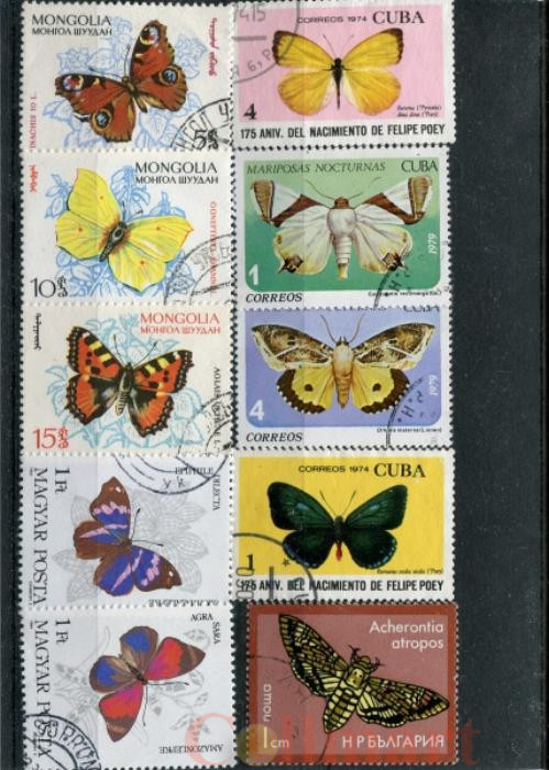  Набор марок. Бабочки. 10 марок + планшетка. № 1527. 