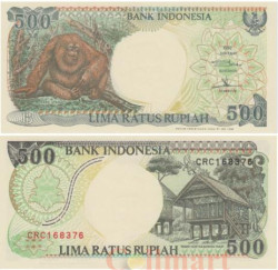 Бона. Индонезия 500 рупий 1992 год. Орангутан. (Пресс)
