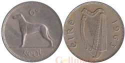 Ирландия. 6 пенсов 1963 год. Ирландский волкодав.