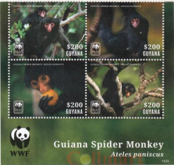 Сцепка марок. Гайана. Паукообразные обезьяны (Atelidae).