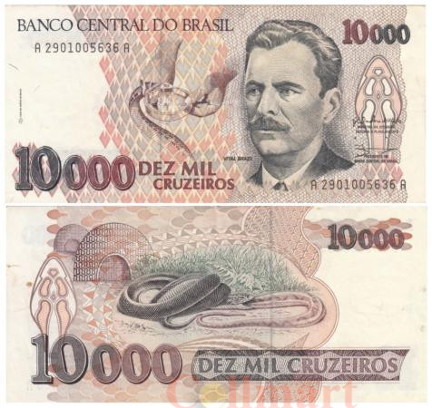  Бона. Бразилия 10000 крузейро 1991 год. Витал Бразил. (VF) 
