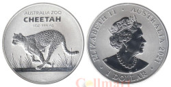 Австралия. 1 доллар 2021 год. Австралийский зоопарк - Гепард.