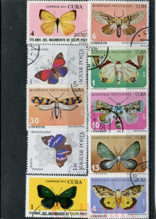  Набор марок. Бабочки. 10 марок + планшетка. № 1528. 
