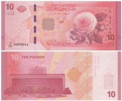 Бона. Сирия 10 фунтов 2025 год. Роза Батерфляй. (Пресс)