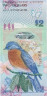  Бона. Бермудские острова 2 доллара 2009 год. Восточная сиалия. (Пресс) 