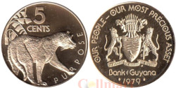 Гайана. 5 центов 1979 год. Ягуар. (герб на аверсе)