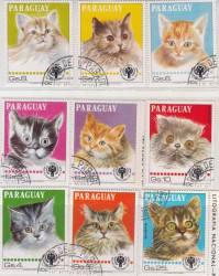 Набор марок. Парагвай. Разные кошки. 9 марок.
