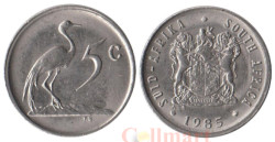 ЮАР. 5 центов 1985 год. Африканская красавка.
