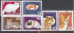 Набор марок. Болгария. Кошки. 6 марок.