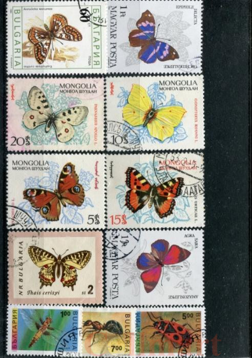  Набор марок. Бабочки. 11 марок + планшетка. № 1544. 