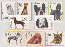 Набор марок. Польша. Собаки (1963). 9 марок.