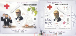 Почтовый блок + малый лист. Мали: Неофициальный выпуск. Медицинский Красный Крест имени Л. Пастера 2.