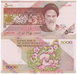 Бона. Иран 5000 риалов 1993 год. Рухолла Мусави Хомейни. Букет цветов.