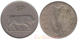Ирландия. 5 пенсов 1969 год. Бык.