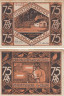  Бона. Германия. Нойхаус-ам-Реннвег 75 пфеннигов 1921 год. Нотгельд. (VF) 