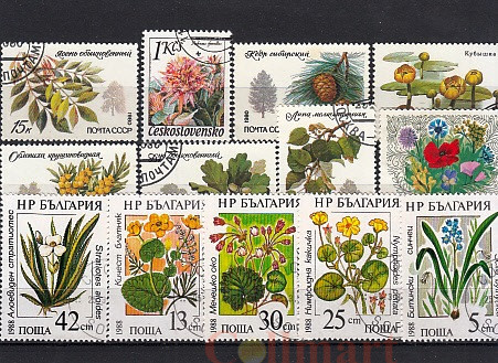  Набор почтовых марок в планшетке. Цветы. (Н-54) 