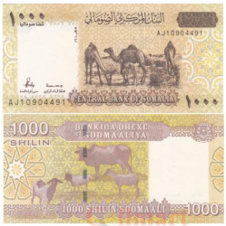Бона. Сомали. 1000 шиллингов 2010 (2023) год. Верблюды. (Пресс)