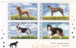 Сцепка марок. Молдова. Собаки (2006). 4 марки.