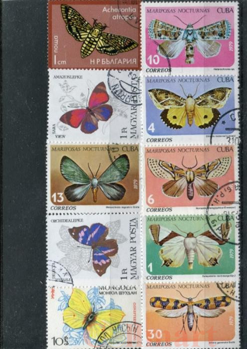  Набор марок. Бабочки. 10 марок + планшетка. № 1533. 