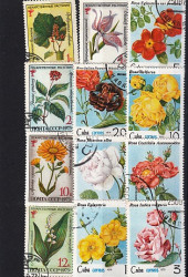 Набор почтовых марок в планшетке. Цветы. (Н-62)