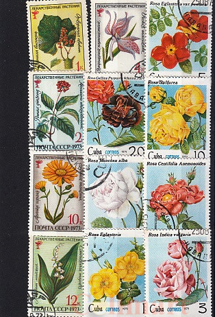  Набор почтовых марок в планшетке. Цветы. (Н-62) 