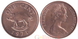 Бермудские острова. 1 цент 1971 год. Кабан.