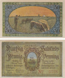 Бона. Германия (Дания). Тондерн (Тённер) 50 пфеннигов 1920 год. Нотгельд. (XF)