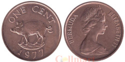 Бермудские острова. 1 цент 1977 год. Кабан.